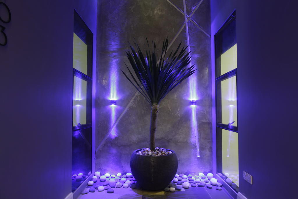 I Am Jazz Hotel Johor Bahru Eksteriør billede